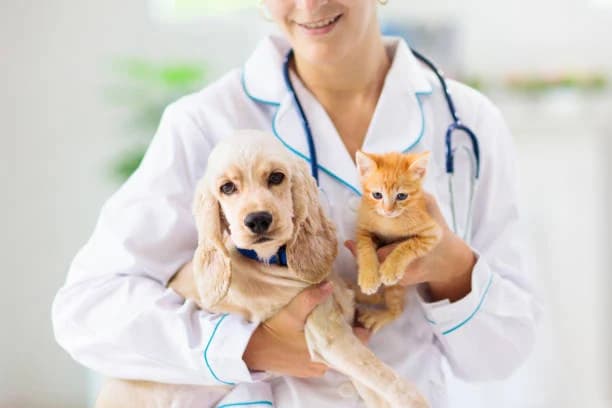 Pet's Best Animal Clinic, a Veterinarian in Ranna, Hambantota