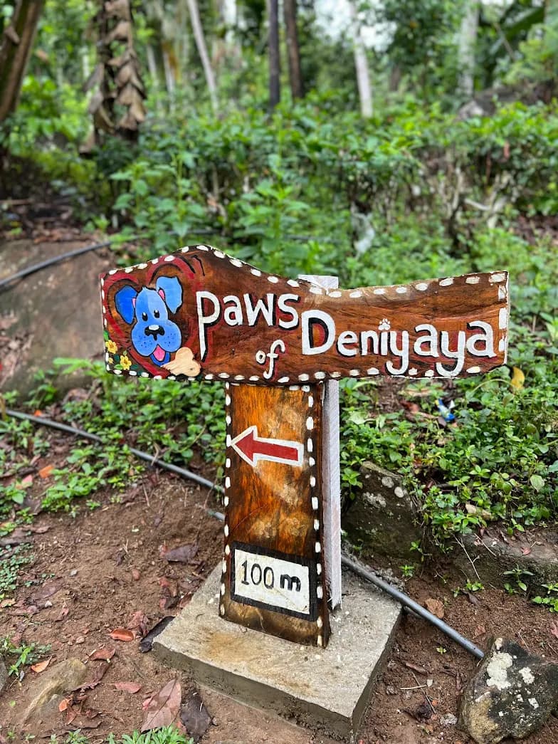 Paw's of Deniyaya, a Veterinarian in Deniyaya, Matara